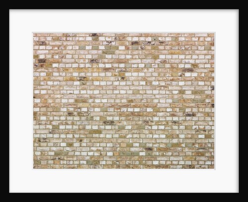 Brick wall by Assaf Frank